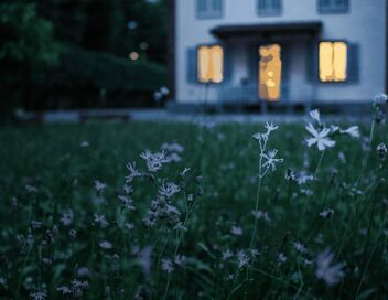 Une maison, une artiste