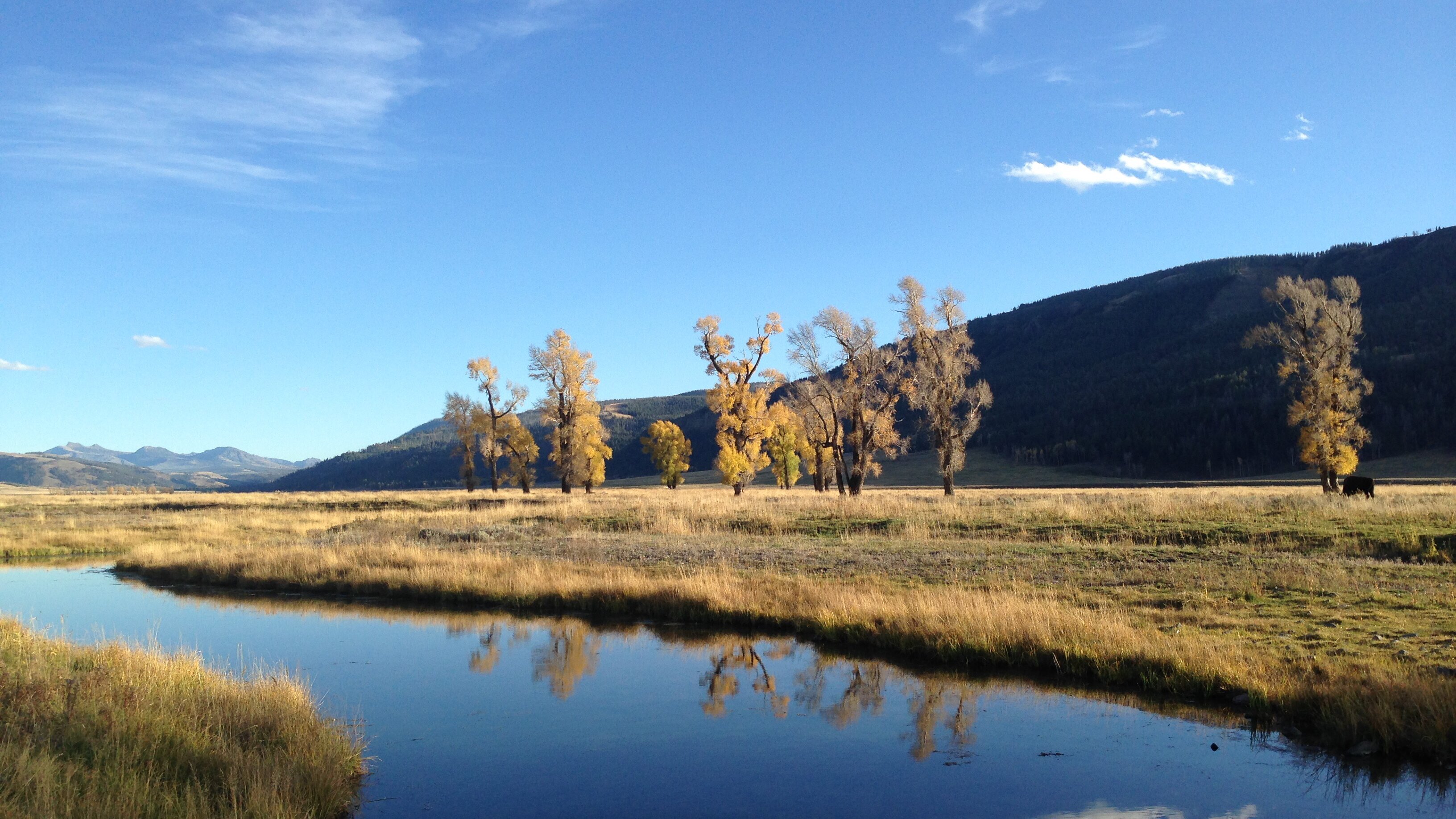 Im Zauber der Wildnis – Yellowstone