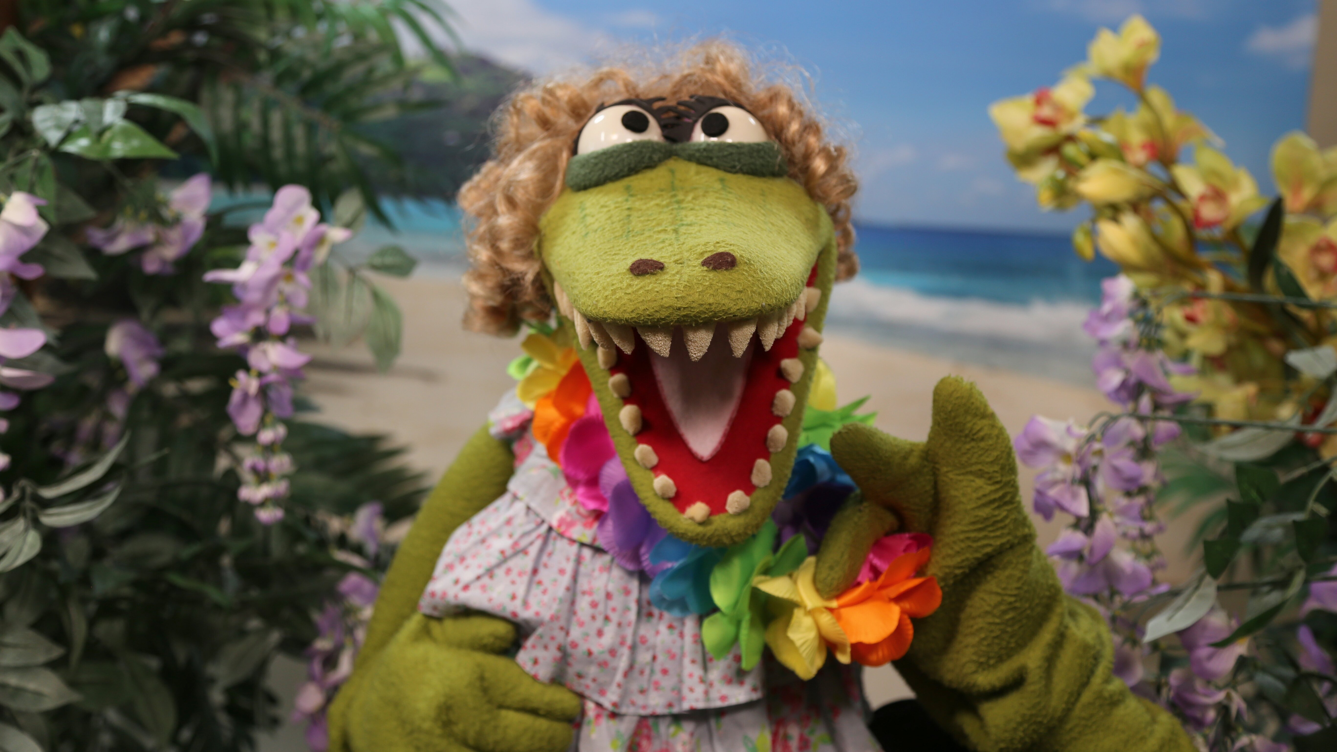 Ein Fall für die Erdmännchen