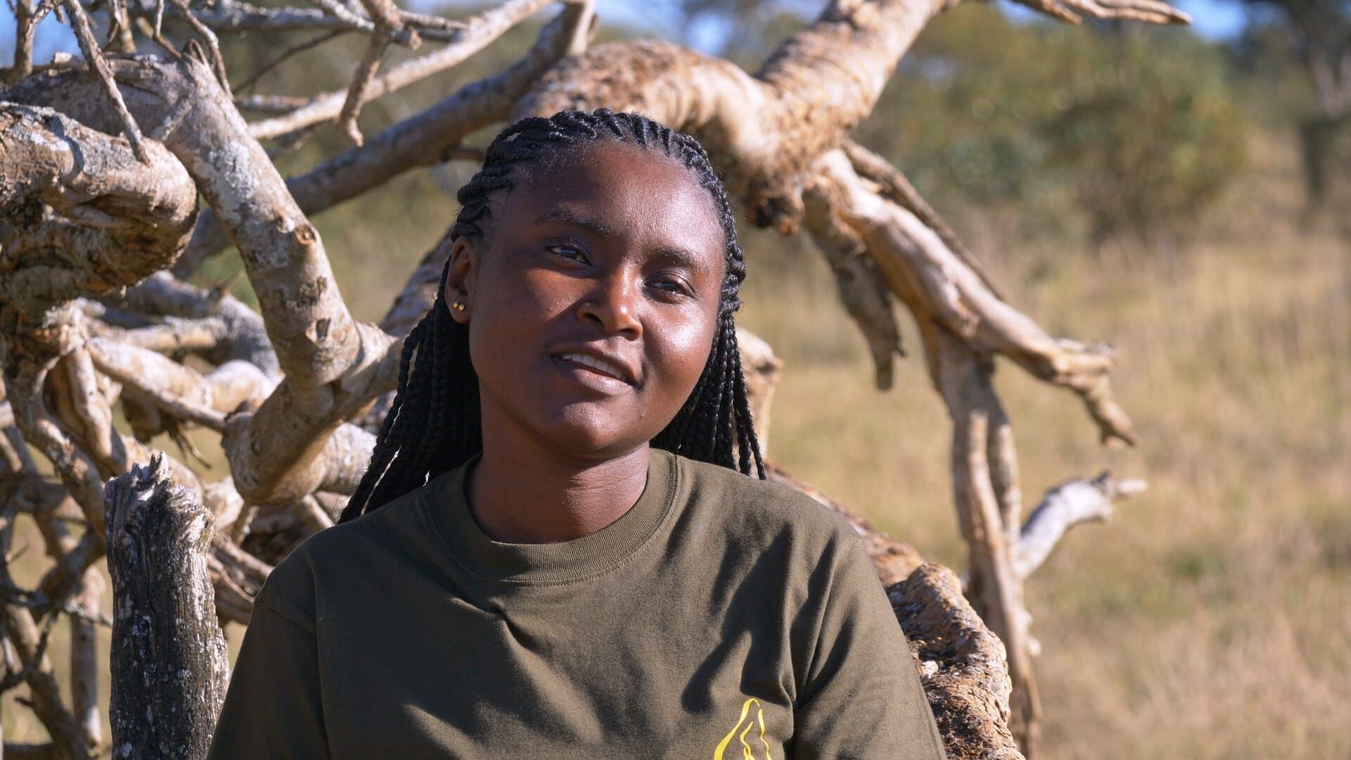 Mitbestimmung im Tierreich