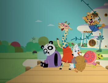 La bande de Coccoloba