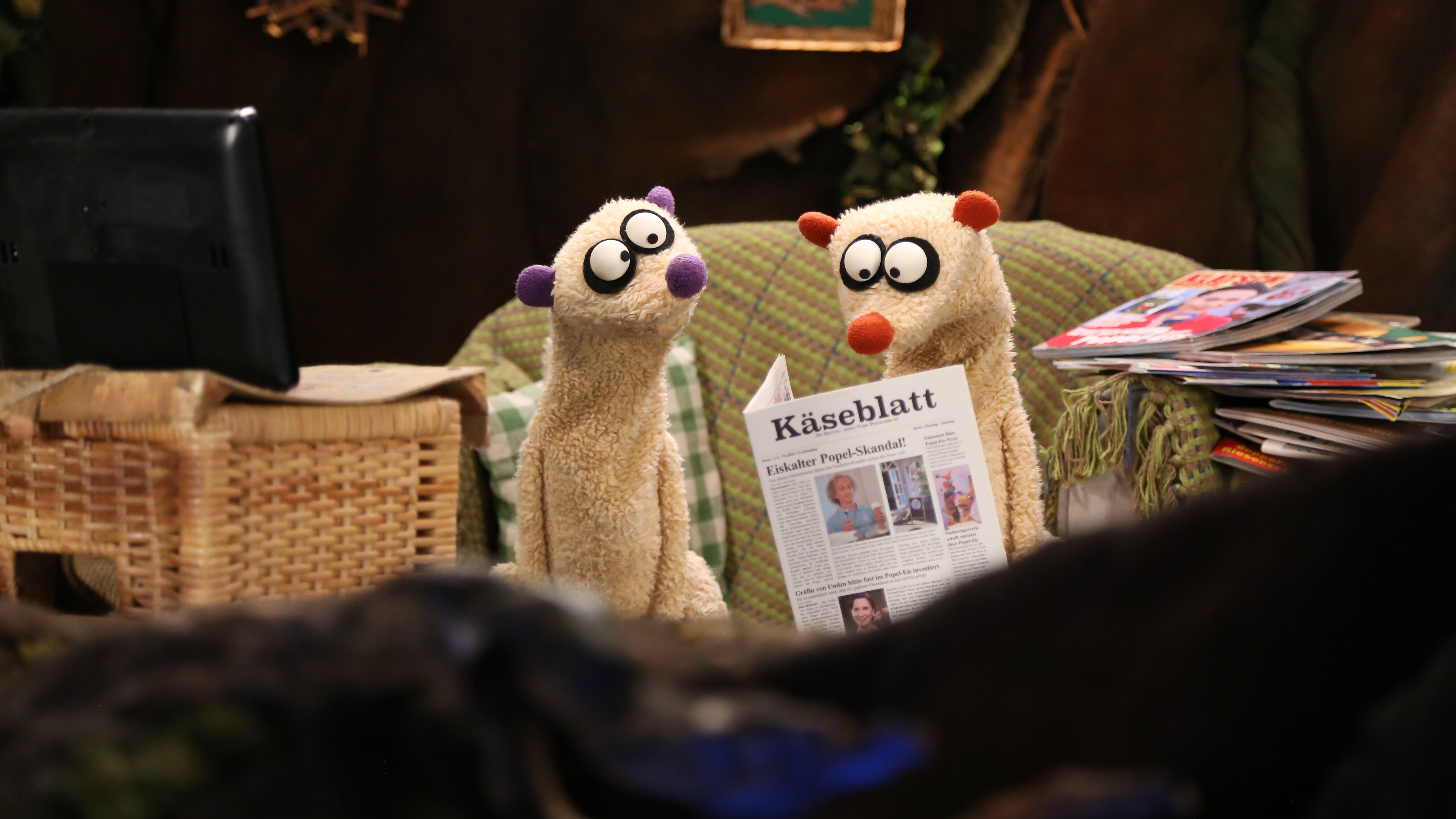 Ein Fall für die Erdmännchen