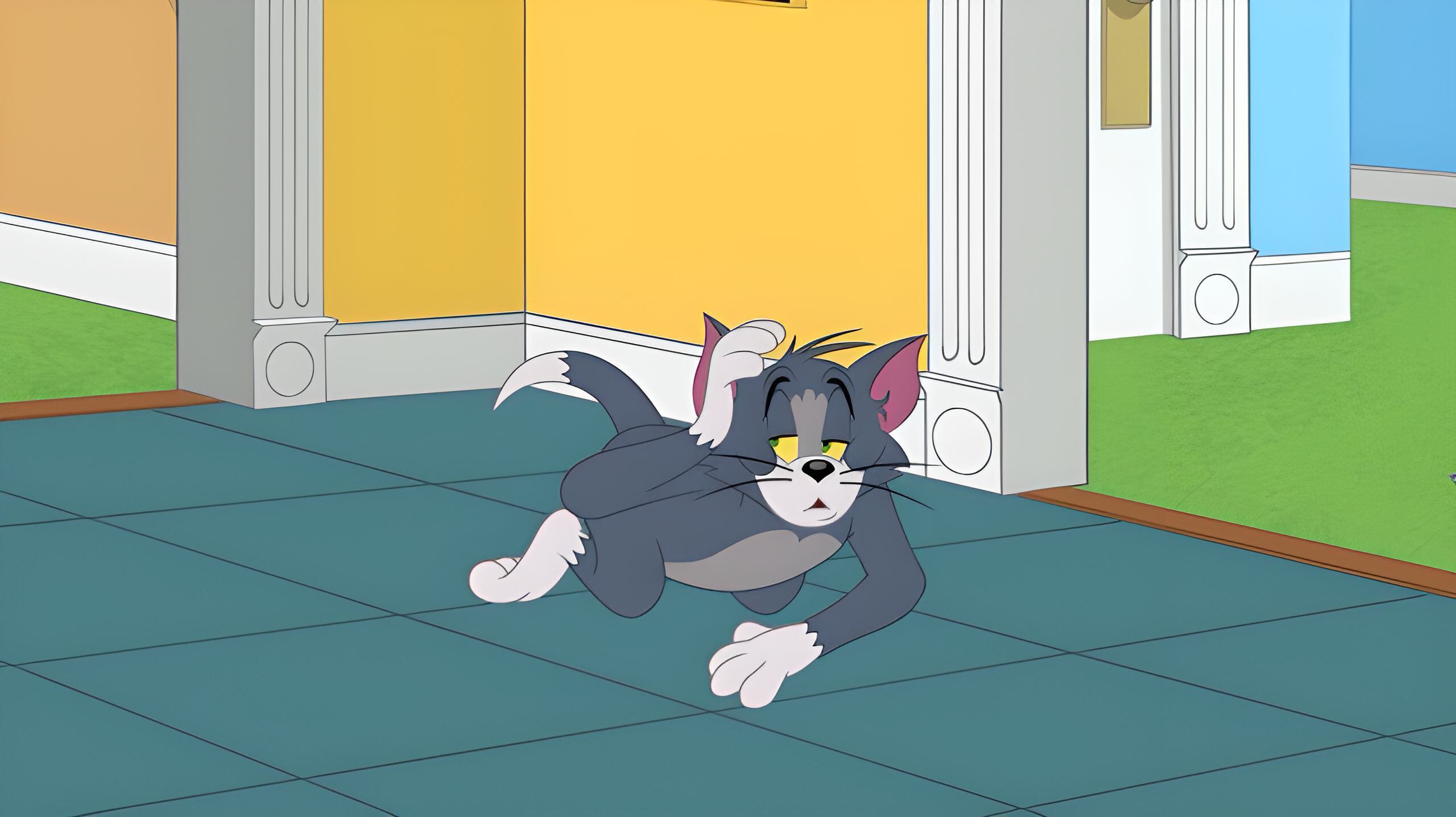 Die Tom und Jerry Show