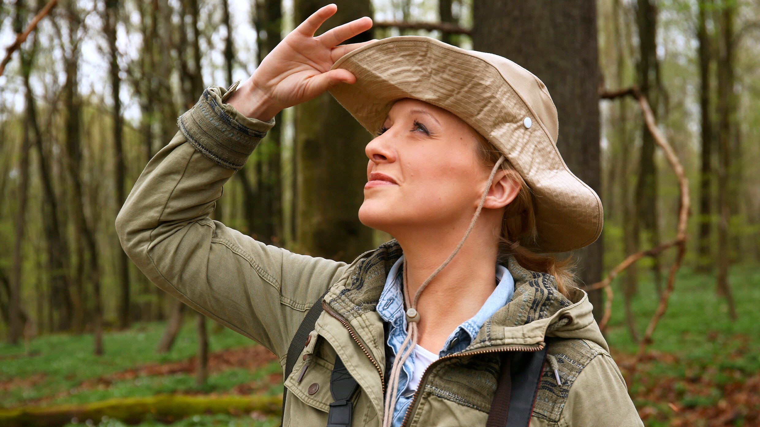 Expedition in die Heimat