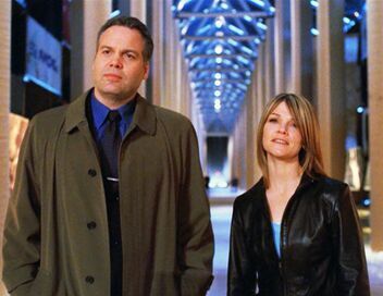 New York, section criminelle