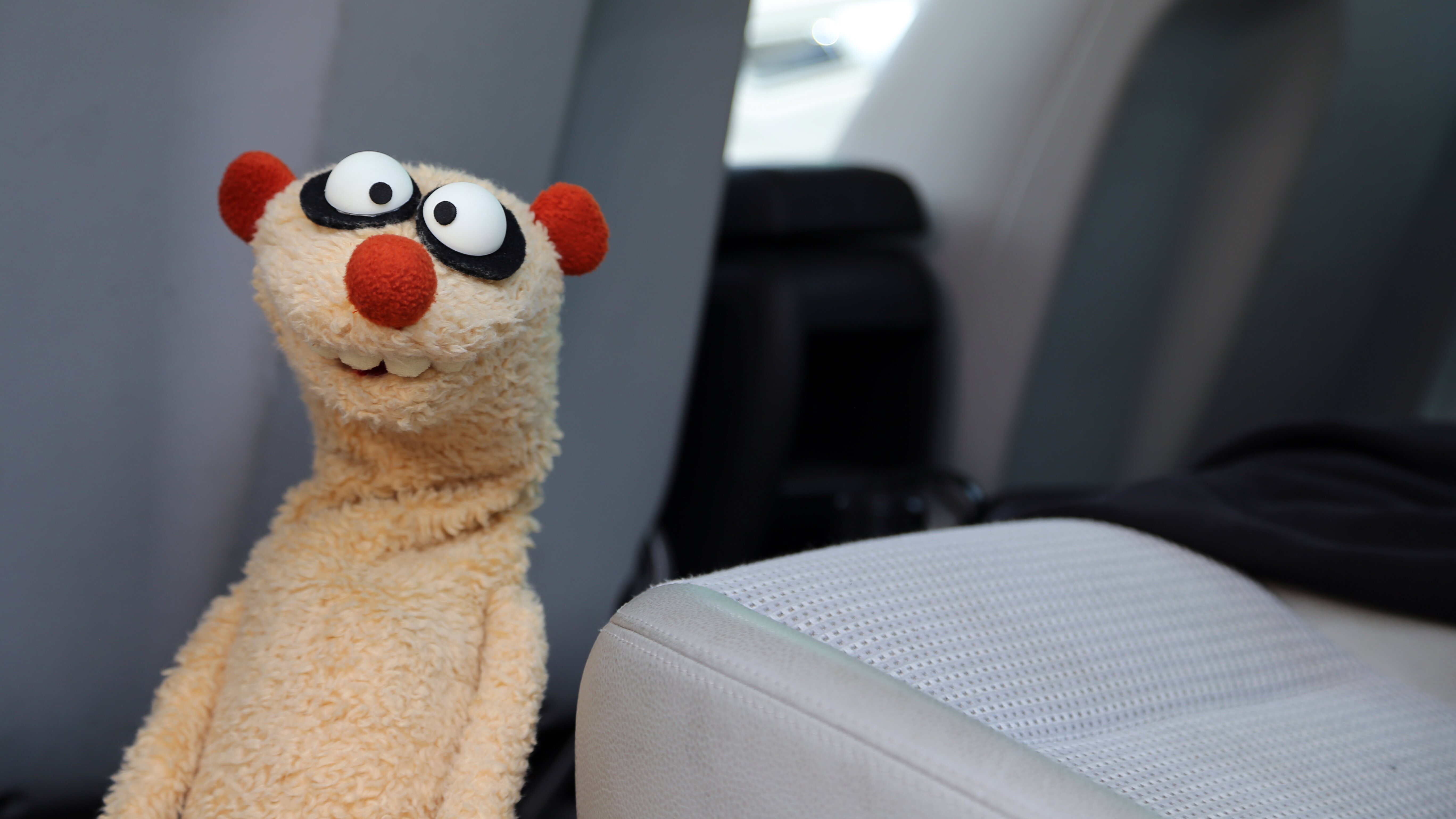 Ein Fall für die Erdmännchen