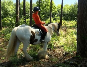 Au galop ! Une saison à cheval