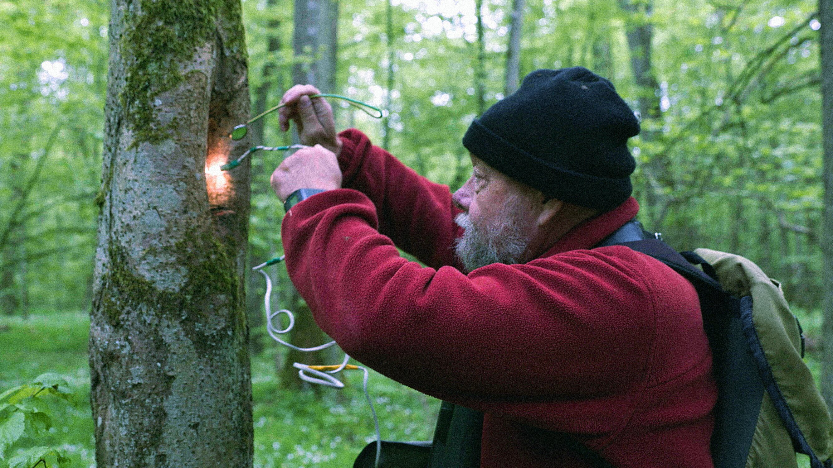 Das Lied der Anderen