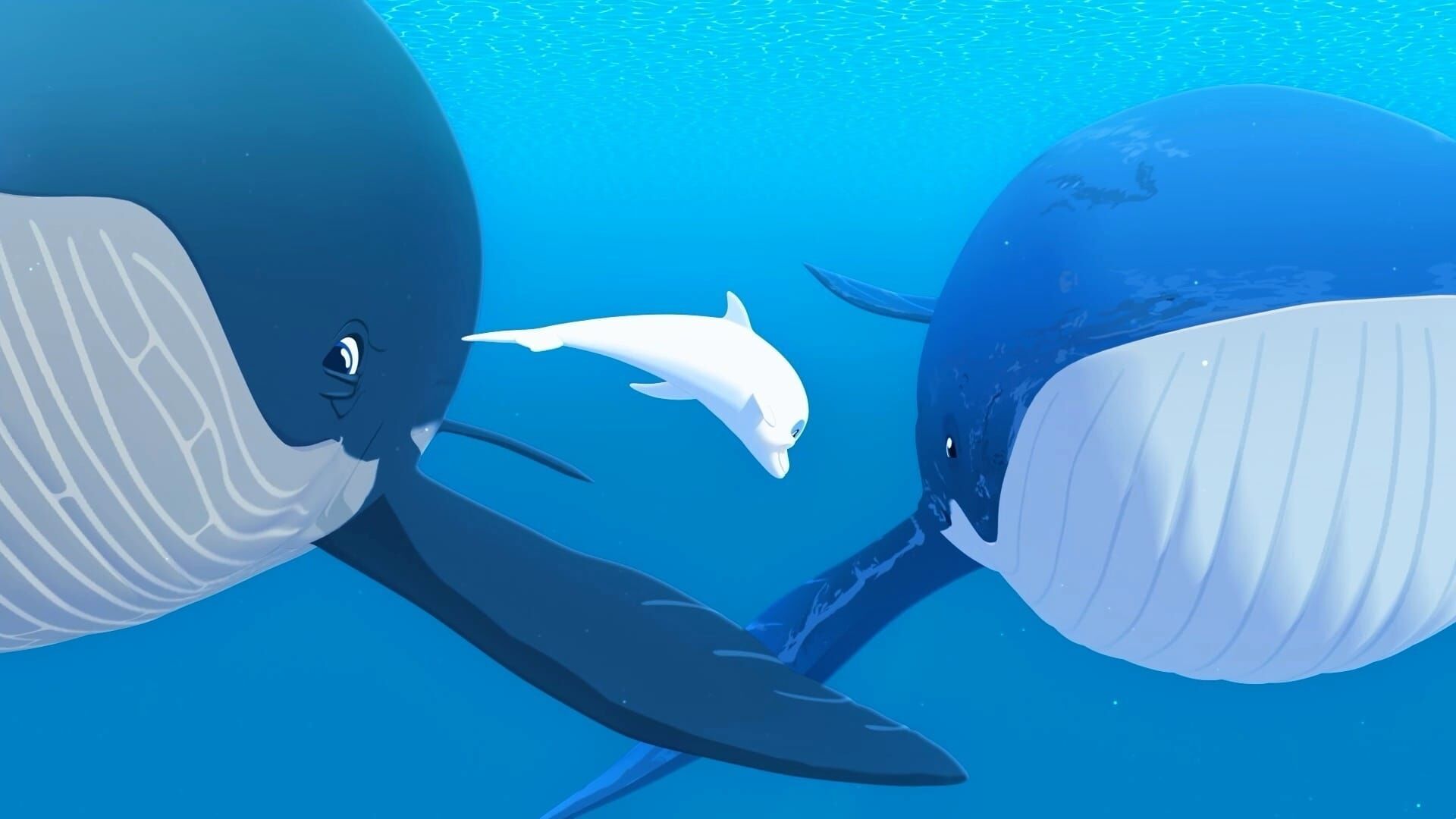 Zoom – Der weiße Delfin