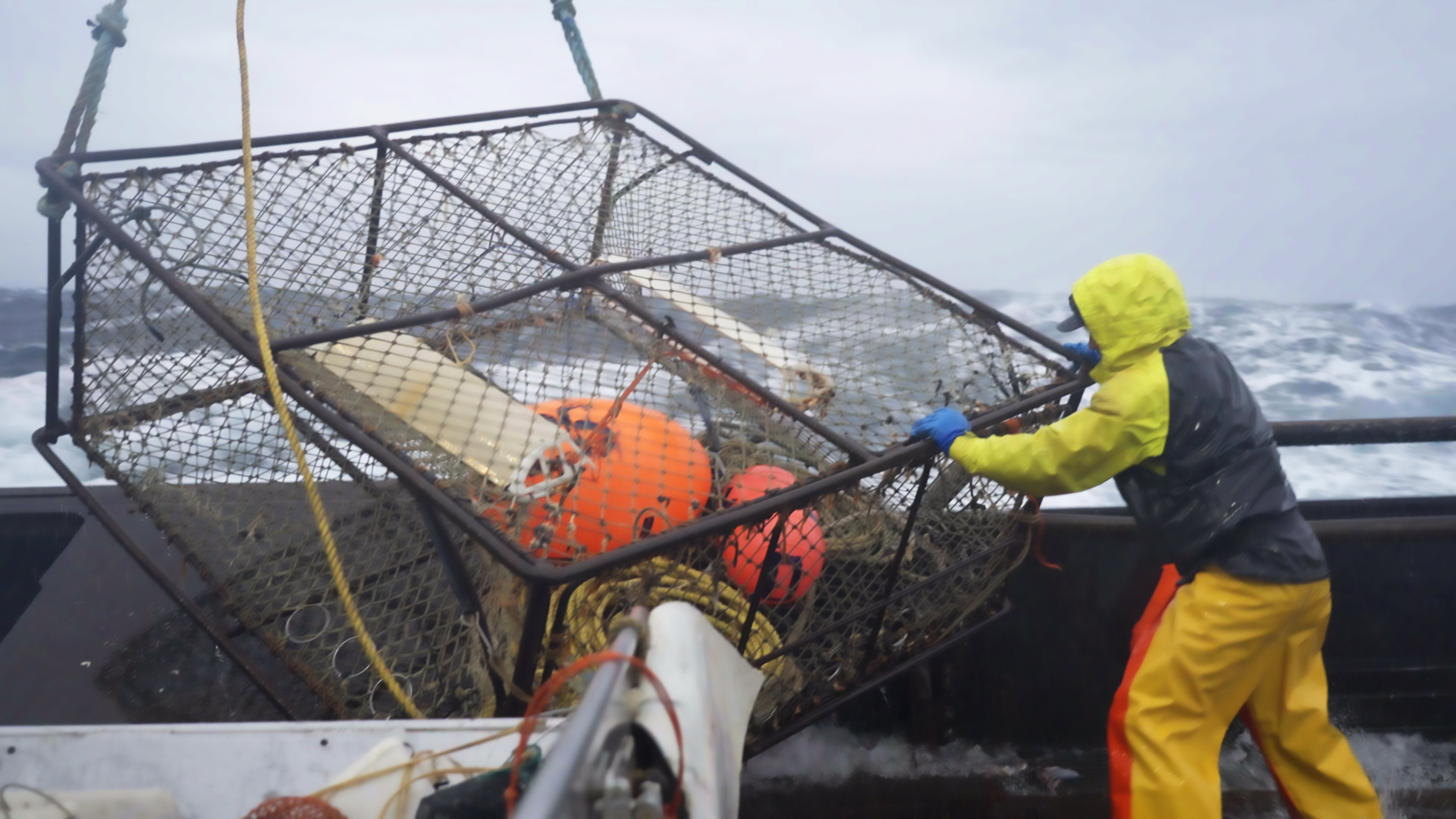 Fang des Lebens – Der gefährlichste Job Alaskas