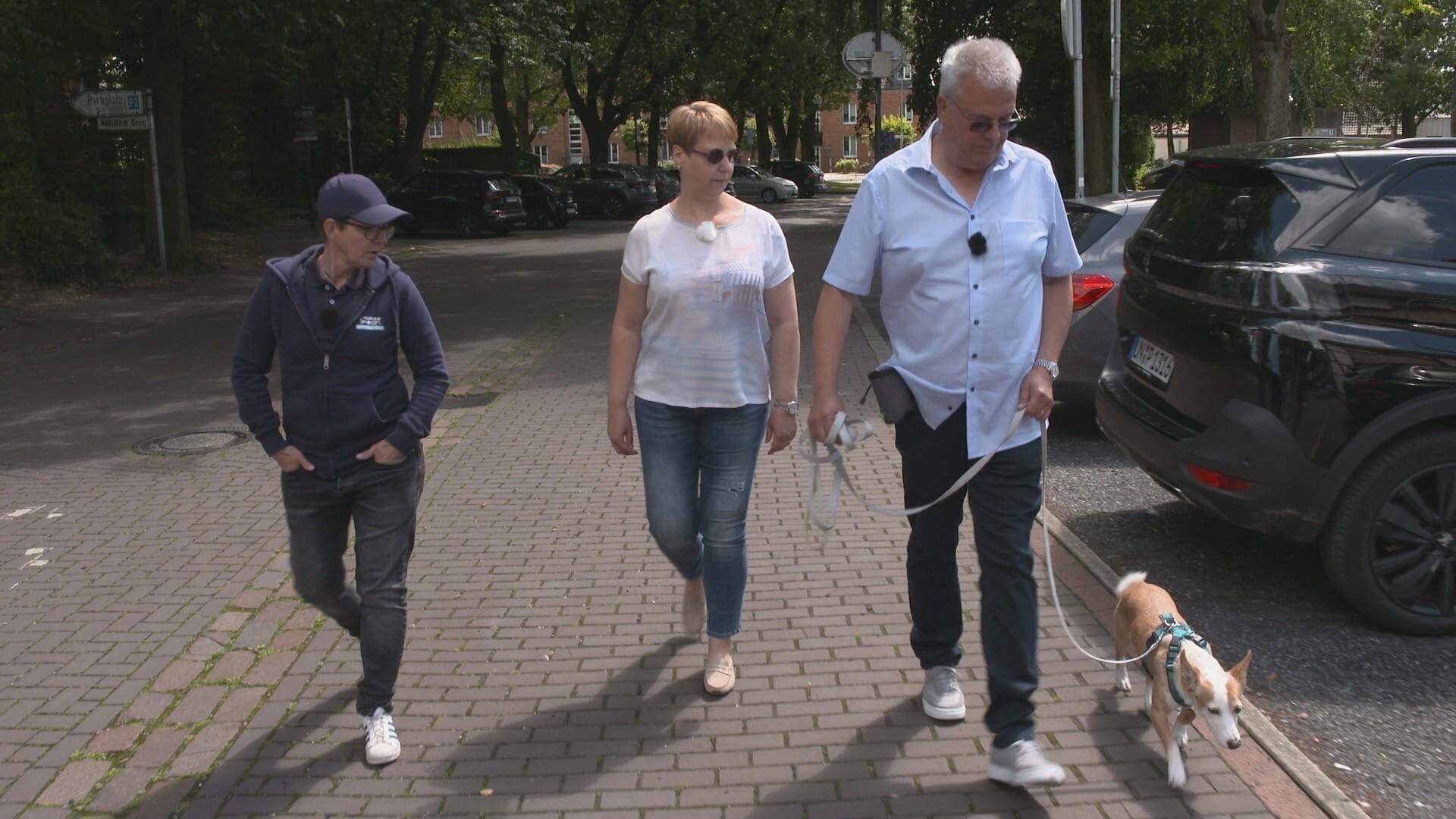 Der Hundeprofi – Rütters Team