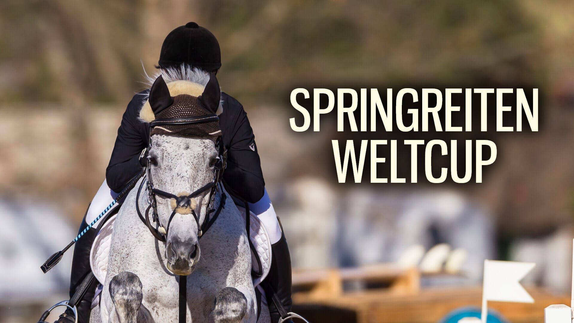 Springreiten: Weltcup