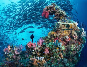 Truk Lagoon : Le grand cimetière sous la mer