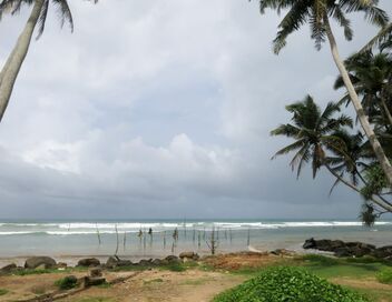 Le Sri Lanka, l'île aux trésors