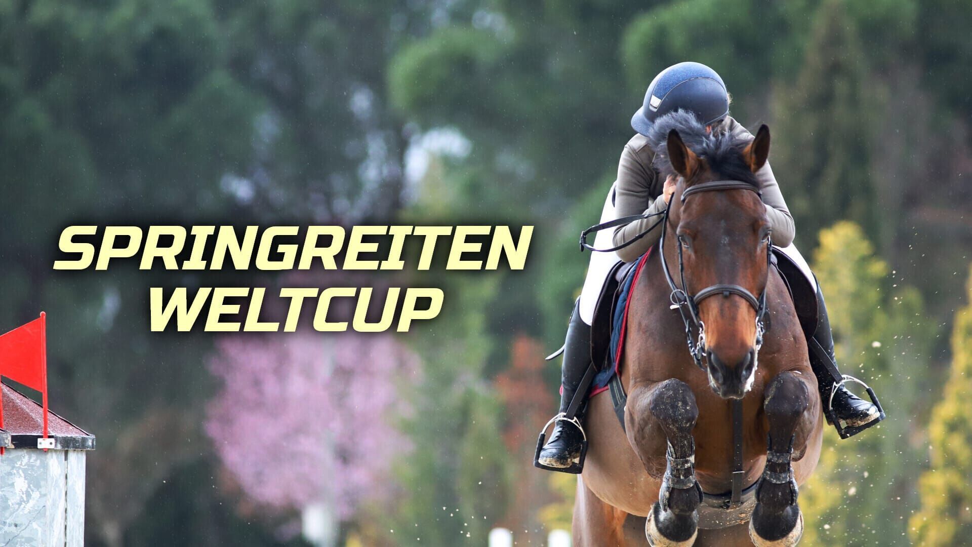Springreiten: Weltcup