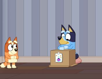Bluey Minisodes