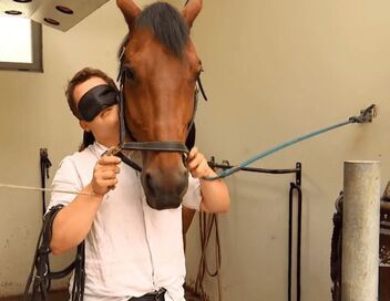 Au galop ! Une saison à cheval