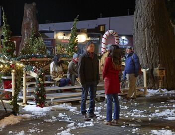Un sapin de Noël, deux amoureux