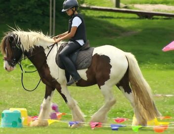 Au galop ! Une saison à cheval