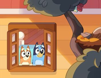 Bluey