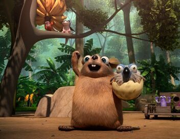 Les as de la jungle à la rescousse