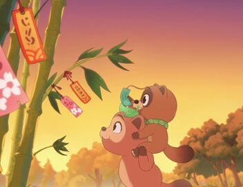 Taki Tanuki