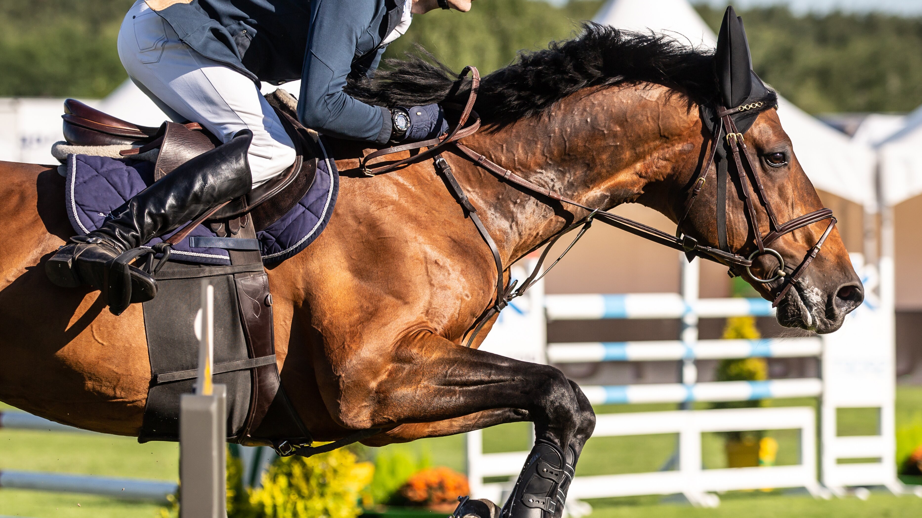 Springreiten: Global Champions Tour