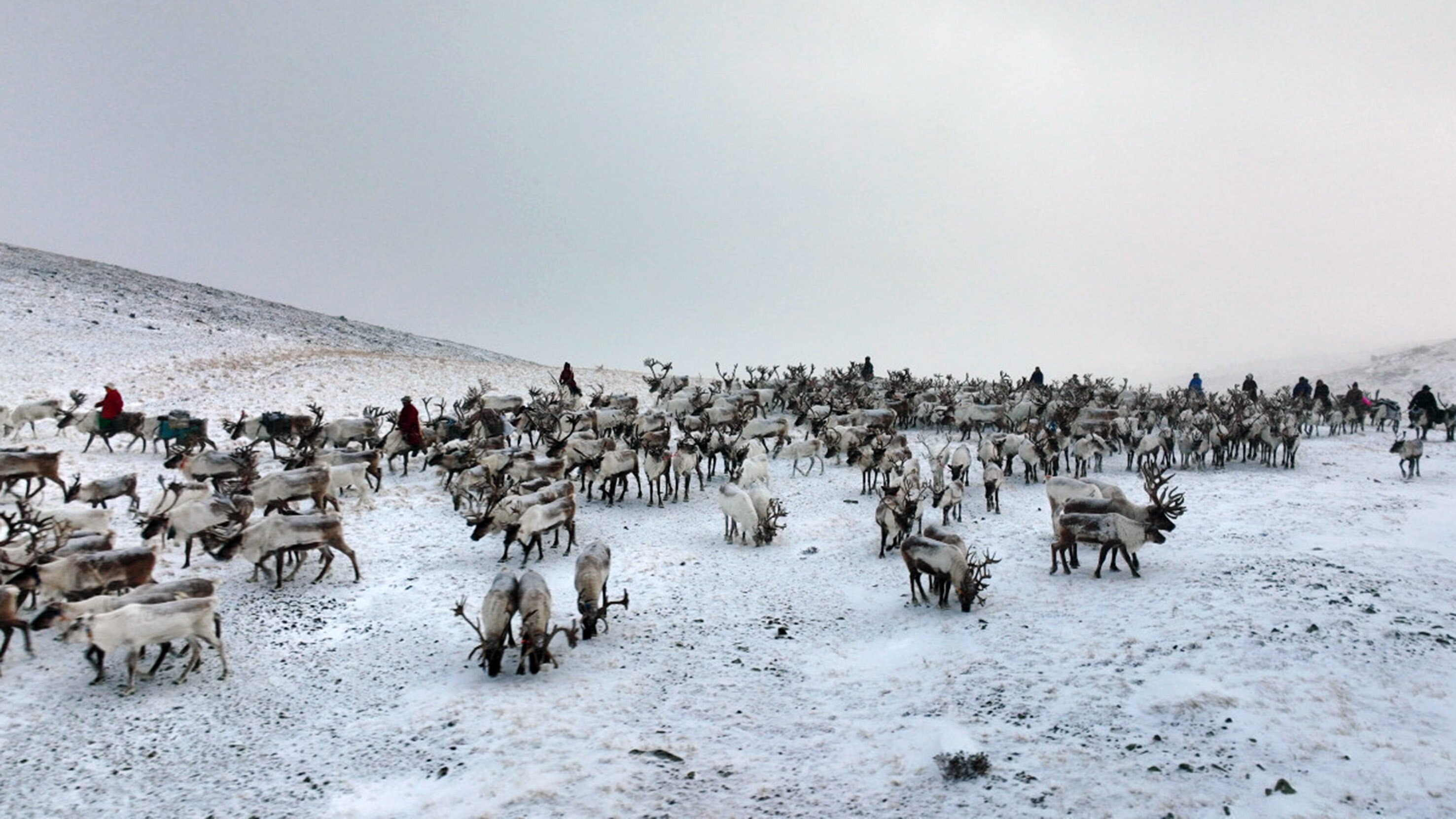 Mongolei, immer auf Achse