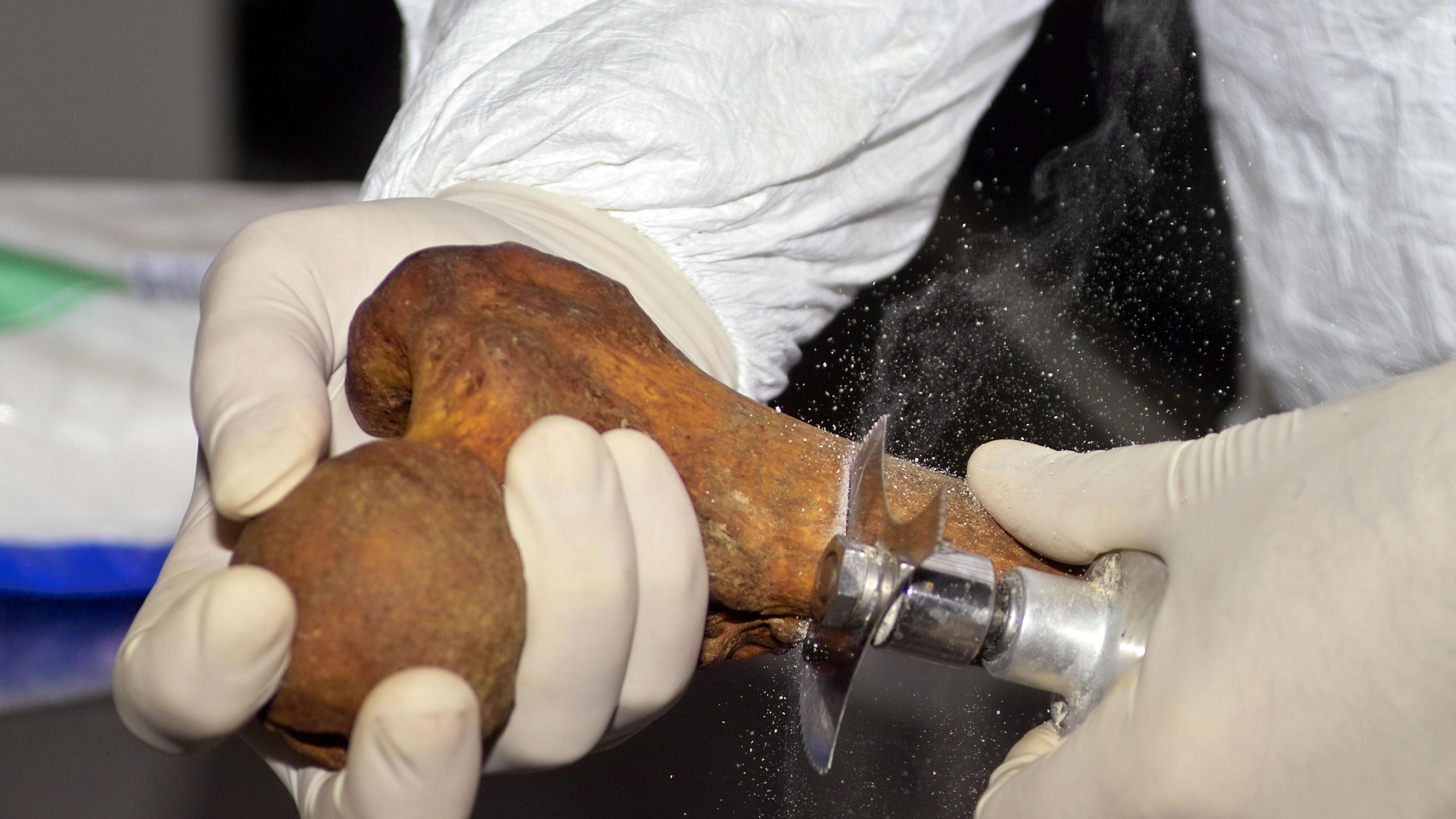 Verborgen in der Finsternis: Geheimnisse der Vergangenheit