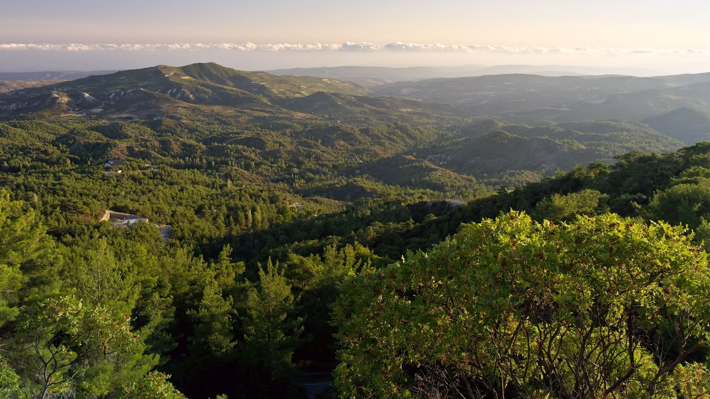 Die Welt der Gewürze