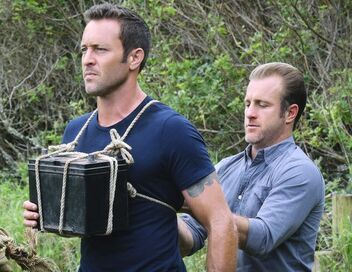 Hawaii 5-0