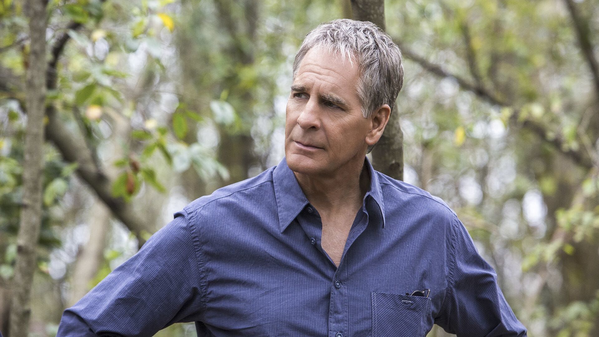 Navy CIS: New Orleans