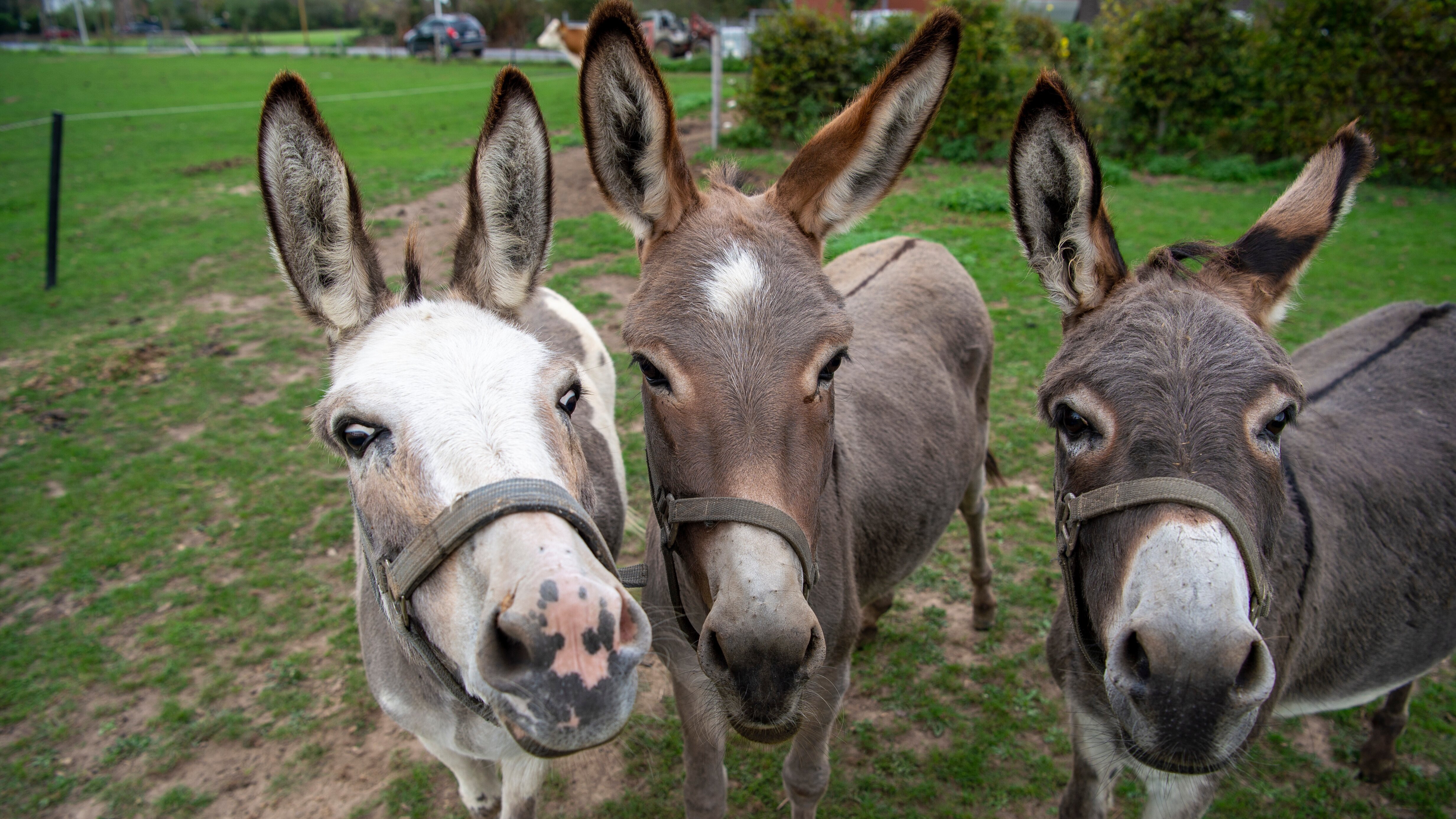 Landfrauenküche – Kulinarische Schätze