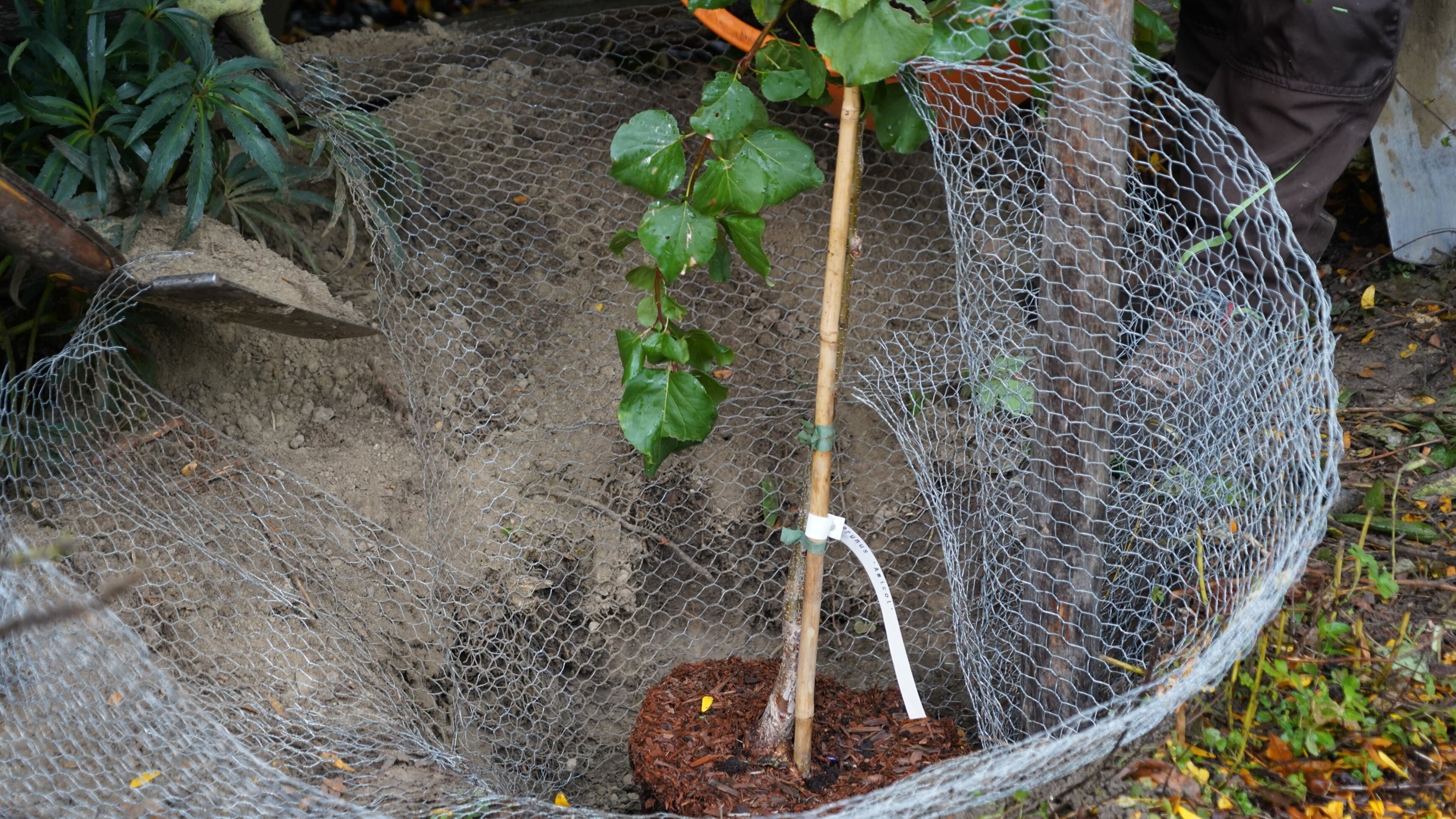 Natur im Garten