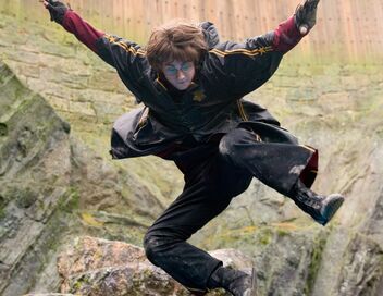 Harry Potter et la Coupe de feu