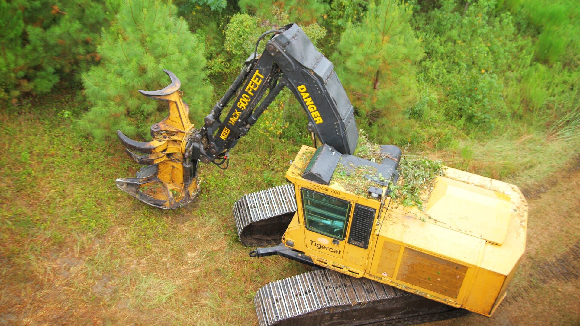 Holzfäller extrem