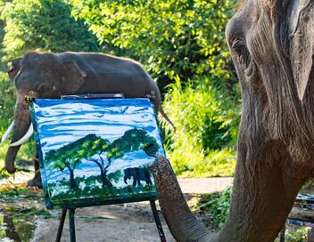 De l'art ou du cochon ? La créativité animale en question
