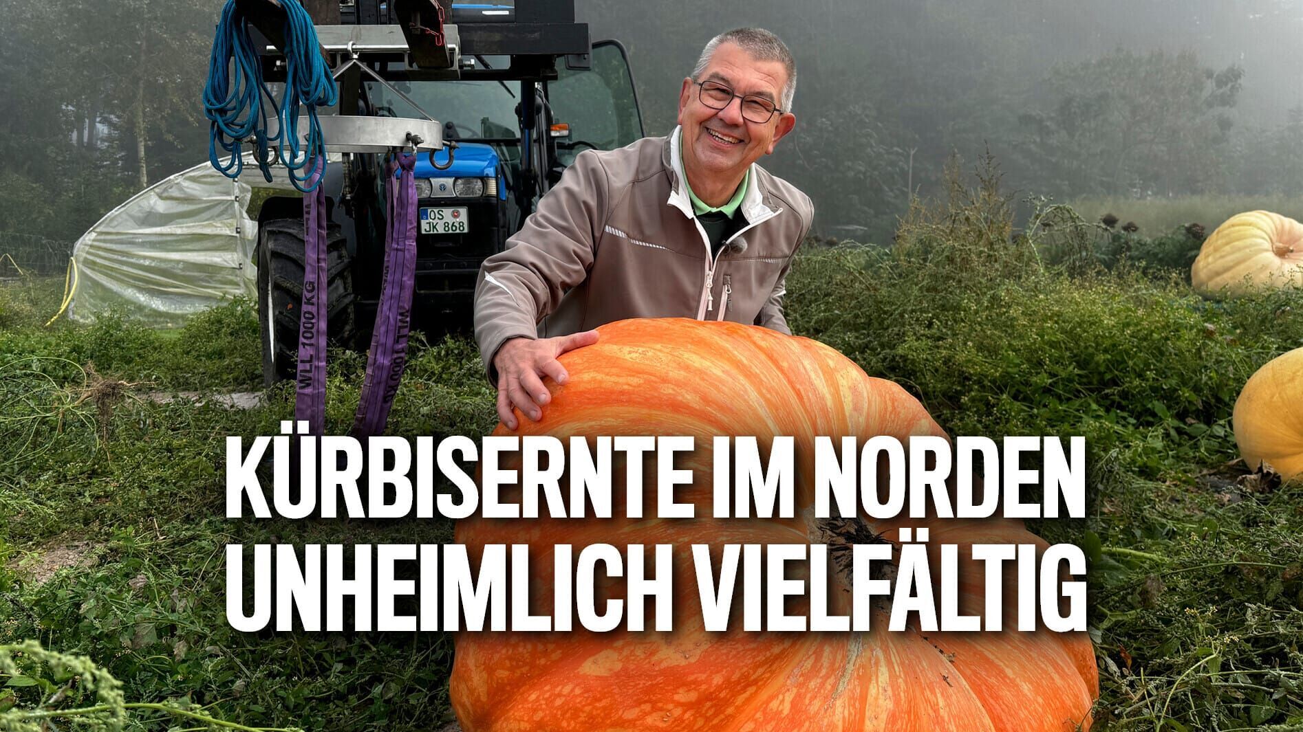 Kürbisernte im Norden