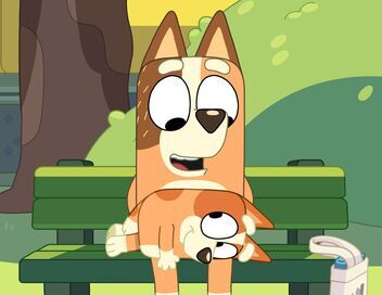 Bluey Minisodes