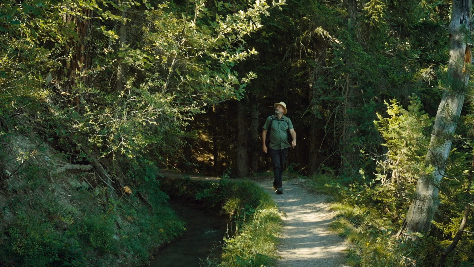 Wanderparadies Schweiz: Unterwegs an der Suone von Ayent