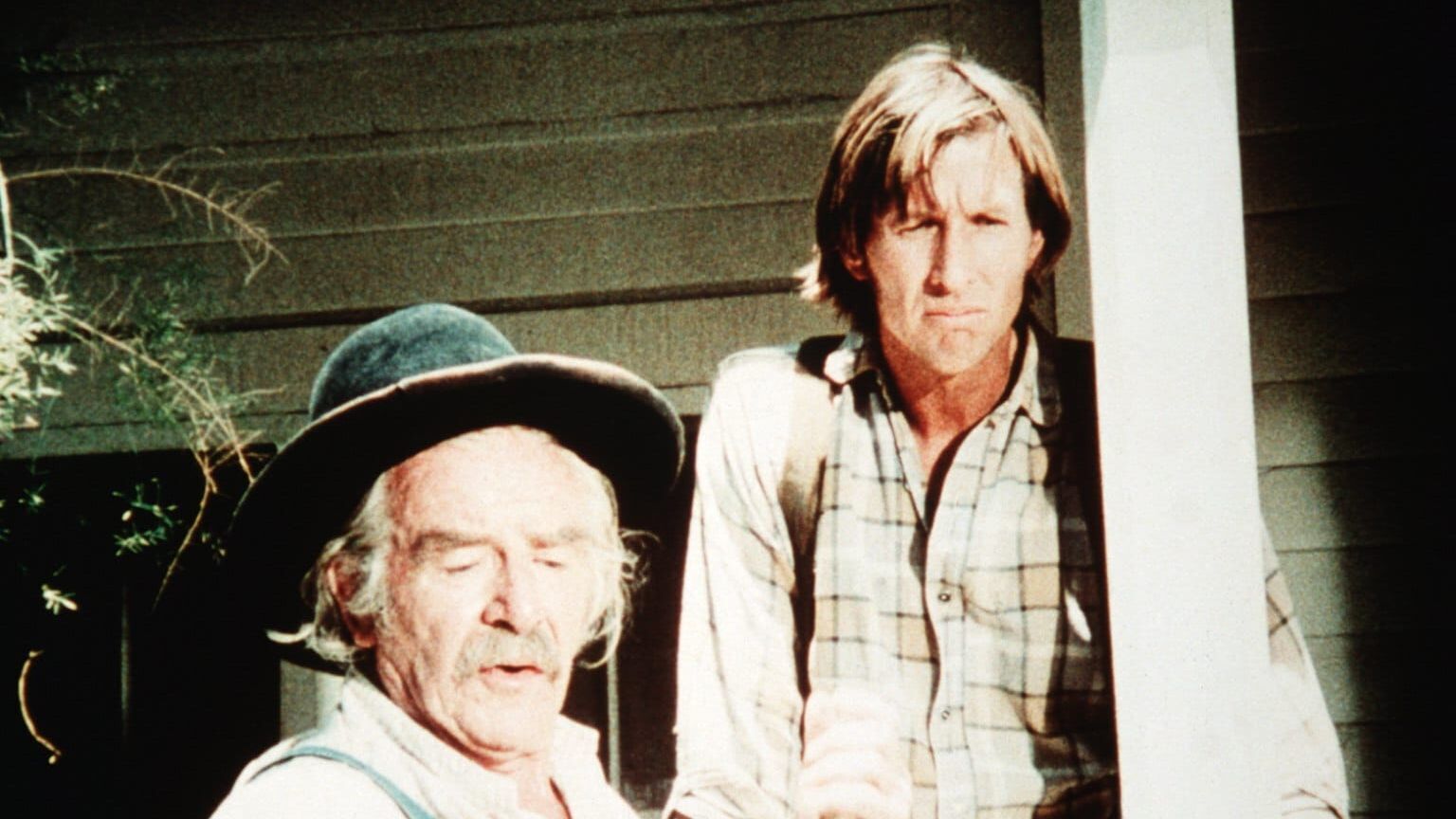 Die Waltons