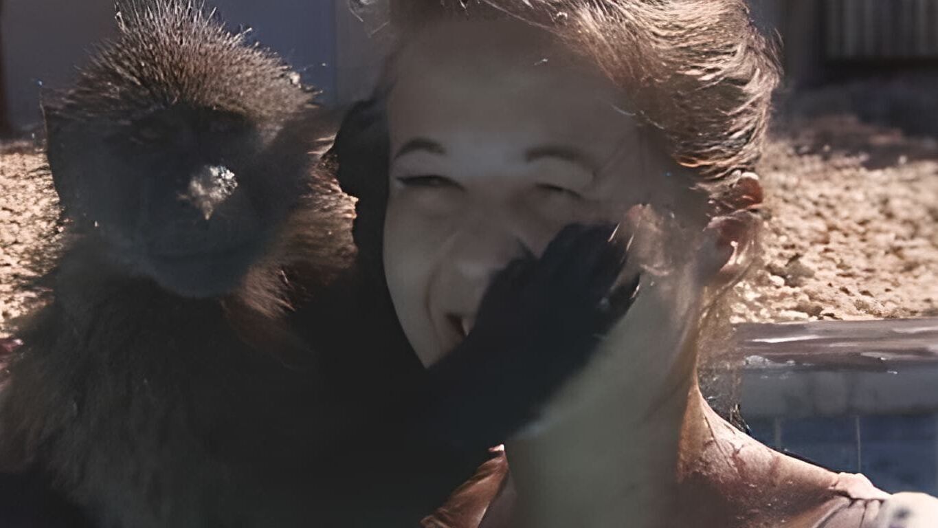 Das Waisenhaus für wilde Tiere – Abenteuer Afrika