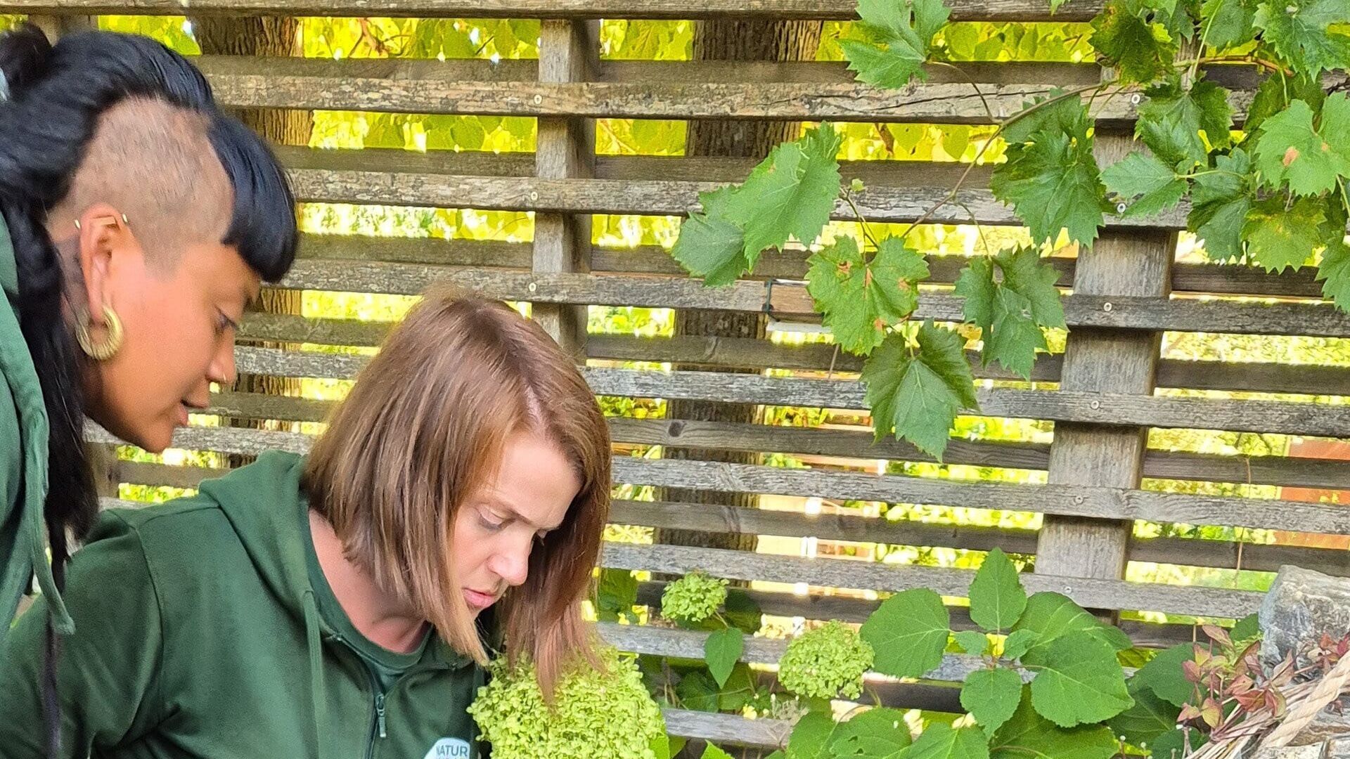Natur im Garten