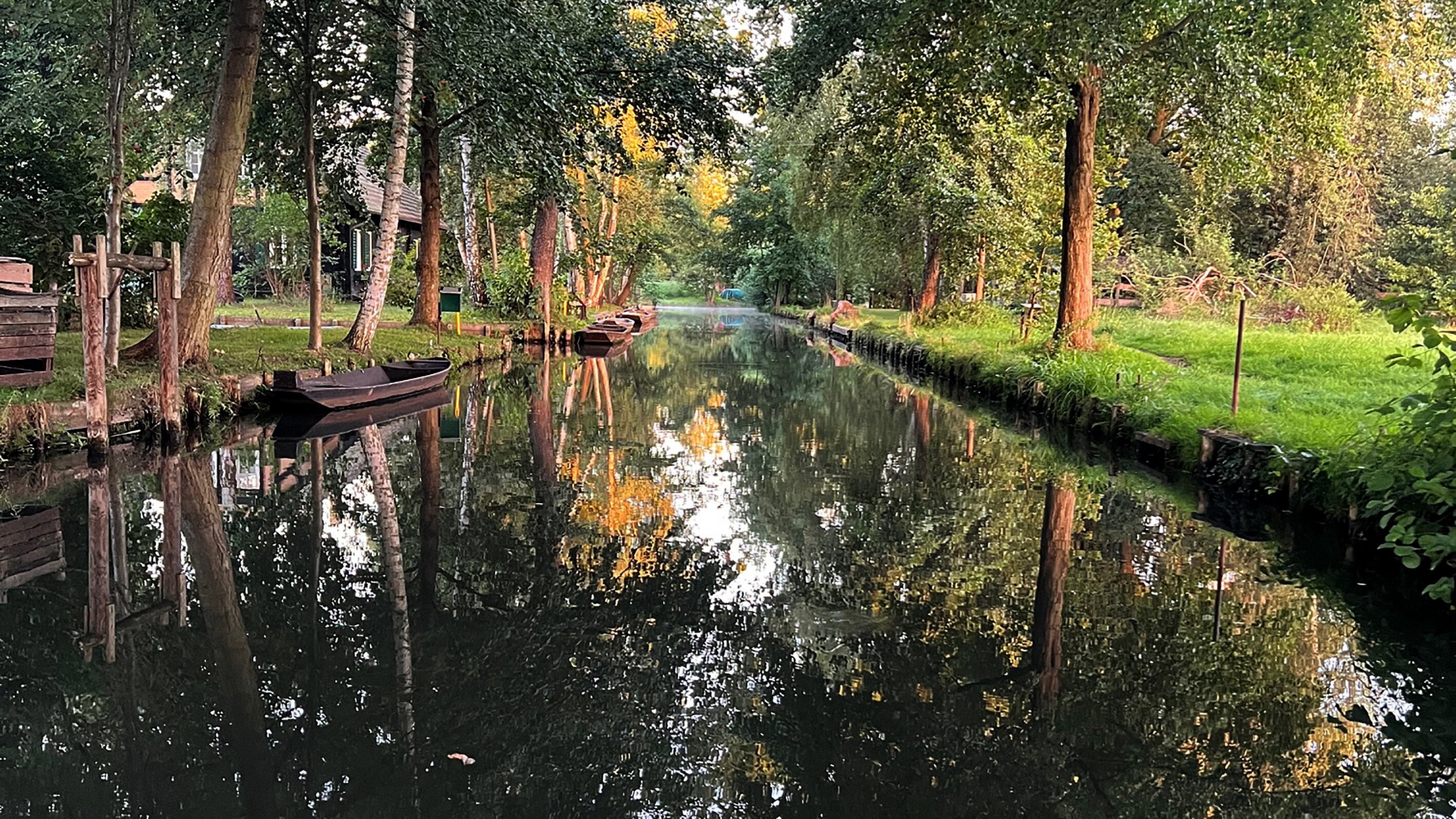 Wildnis statt Spreewald?