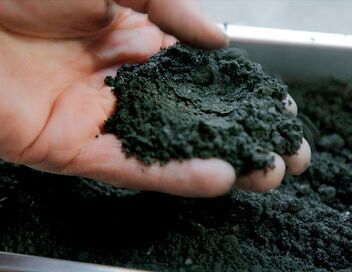 Capturer le CO2 dans l'air : un moyen de refroidir la Terre ?