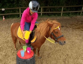 Au galop ! Une saison à cheval