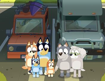 Bluey
