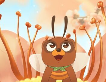 Taki Tanuki