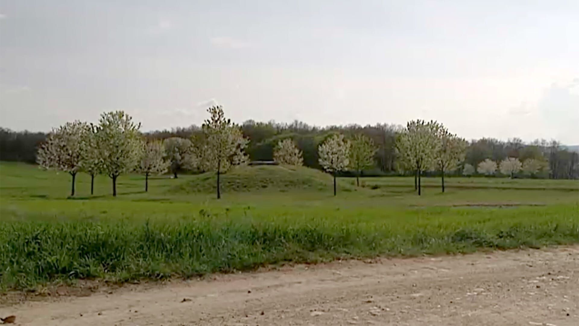 Von Hexenhügeln und heiligen Quellen – Kraftplätze im Burgenland