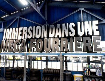Immersion dans une méga fourrière